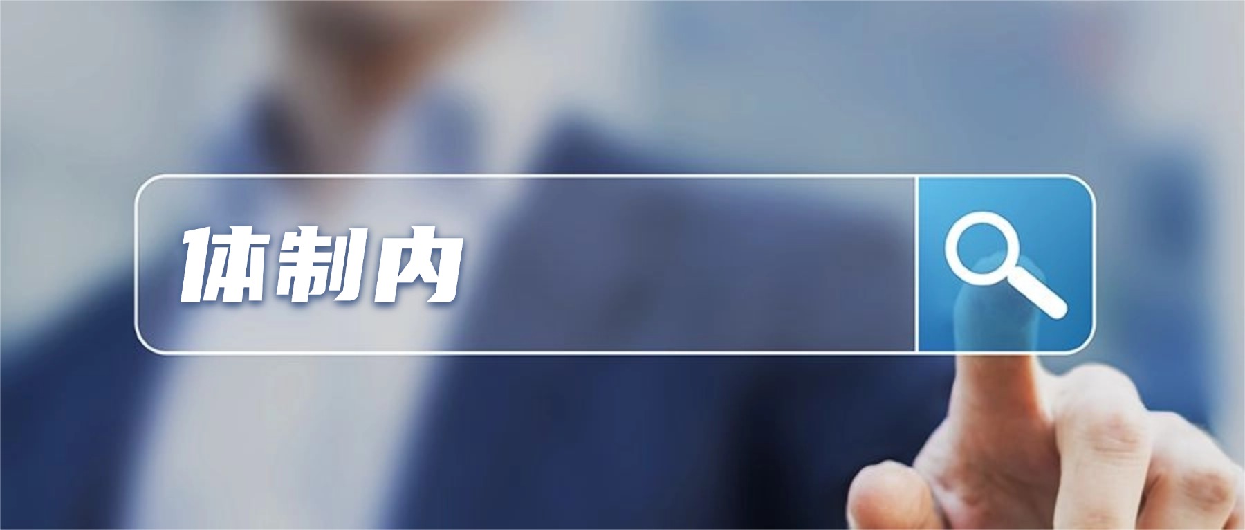 体制内
